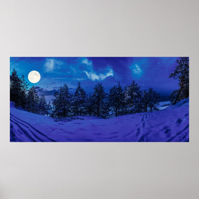 Starre Nacht mit Vollmond im Wald Poster (Vorne)