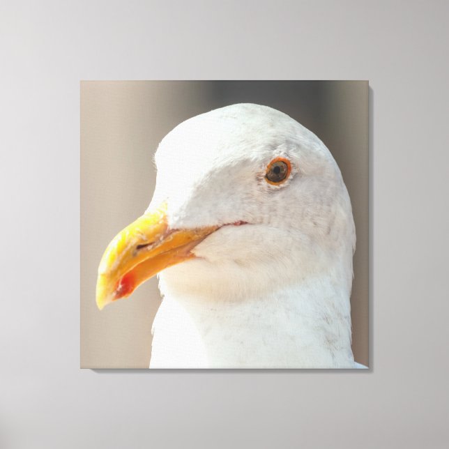 starren leinwanddruck (Vorderseite)