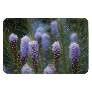 Starry ährentragende lila Blumen Magnet