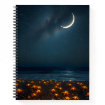 Starry Beach Night
