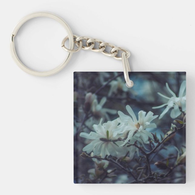 Starry Magnolia (Devant)