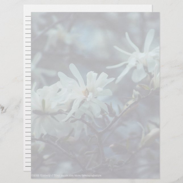 Starry Magnolia 3 172 (Vorne/Hinten)