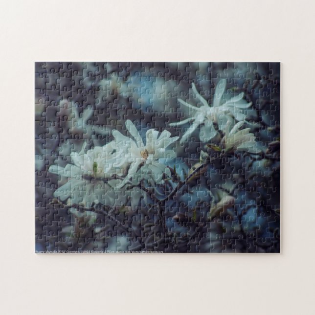 Starry Magnolia 3 172 (Horizontal)