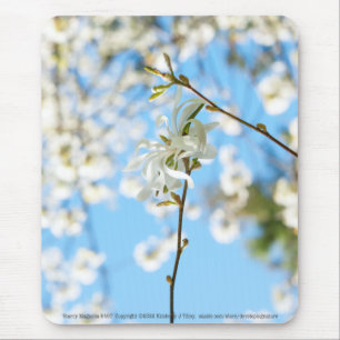 Starry Magnolia 6490 Mousepad