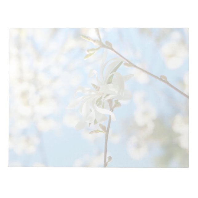 Starry Magnolia 6490 Notizblock (Vorderseite)