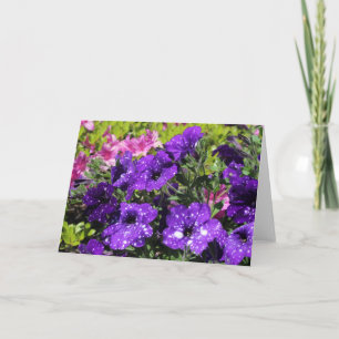 Starry Nachtpetunie-Blumen-Grußkarte Karte