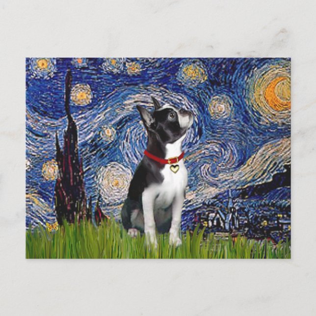 Starry Night - Boston T (2rc) Postkarte (Vorderseite)