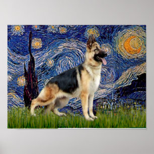 Starry Night - Deutscher Hirte 13 Poster