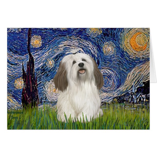 Starry Night - Havanese (#1) (Vorderseite (Horizontal))