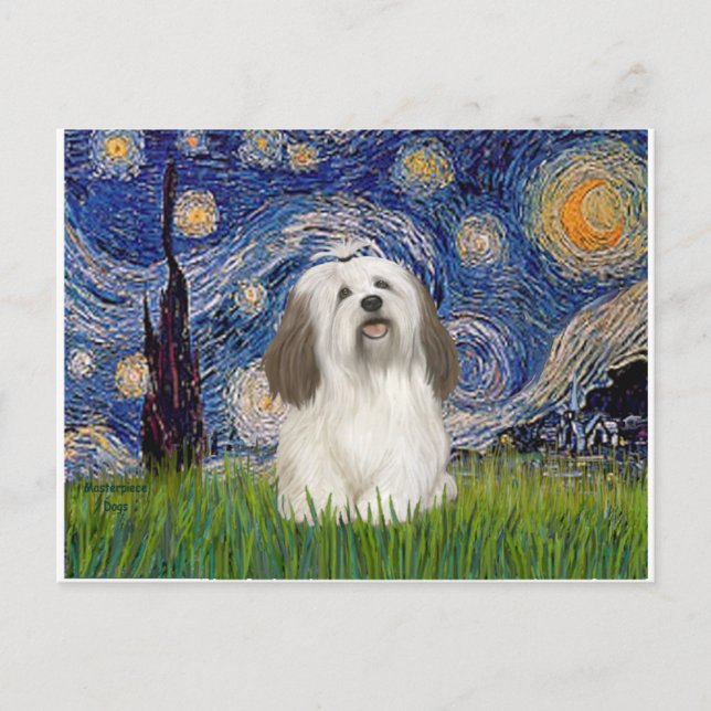 Starry Night - Havanese (#1) Postkarte (Vorderseite)