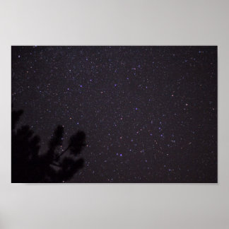 Starry Night, Michigan Poster