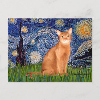 Starry Night - Red Abyssinian Postkarte