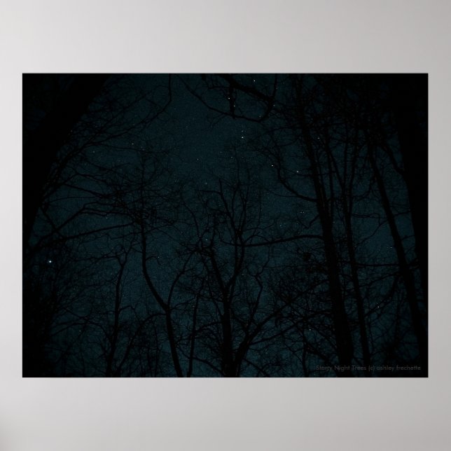 Starry Night Trees Poster (Vorne)