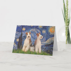 Starry Night - Two Wire Fox Terriers Karte
