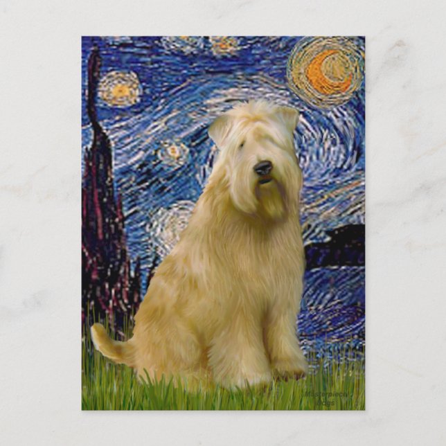 Starry Night (V) - Wheaten Terrier Postkarte (Vorderseite)
