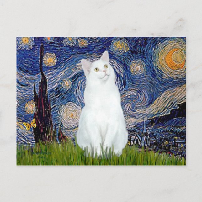 Starry Night - Weiße Katze Postkarte (Vorderseite)