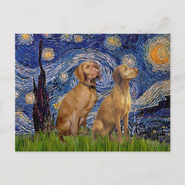Starry Night - Zwei Vizslas Postkarte (Vorderseite)