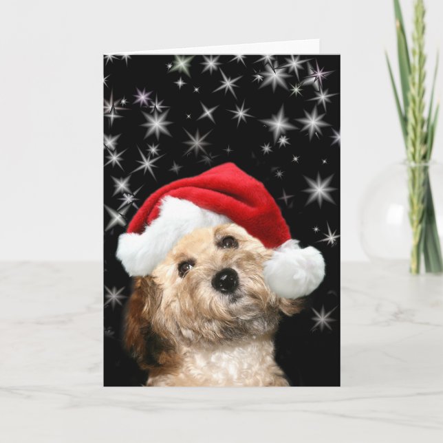 Starry Santa dog Feiertagskarte (Vorderseite)