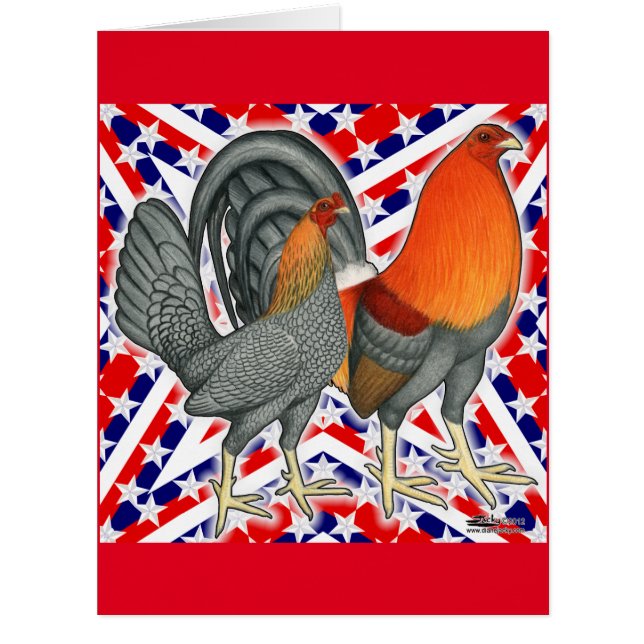 Stars and Stripes Gamefowl (Vorderseite)