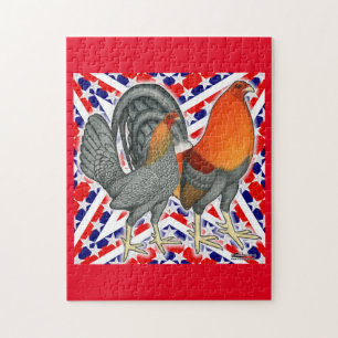 Stars and Stripes Gamefowl