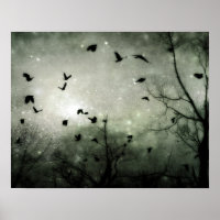 Stars und Crows Collide
