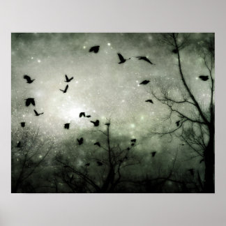 Stars und Crows Collide Poster