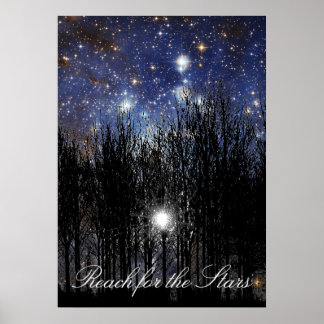 Starscape & Trees : Reach - Poster