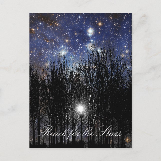 Starscape & Trees: Reach - Postkarte (Vorderseite)