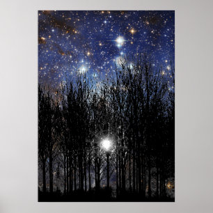 Starscape u. Bäume - Plakat