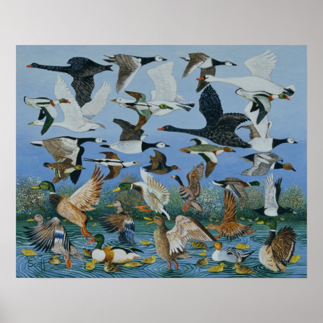 Start 1996 poster (Vorne)