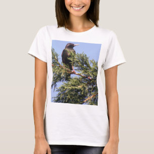 Starter dans un arbre d'épinette Dames T-shirt