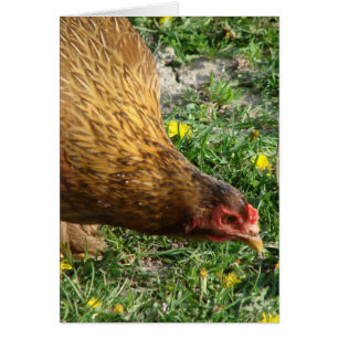 Startet die leere Grußkarte des Hens im Inneren.