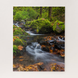 Starvation Creek Falls Columbia Gorge, Oregon