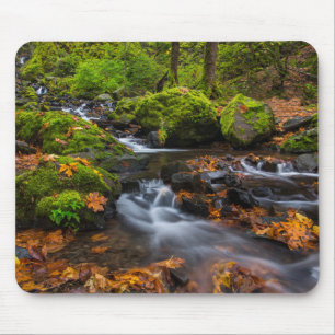 Starvation Creek Falls   Columbia Gorge, Oregon Mousepad