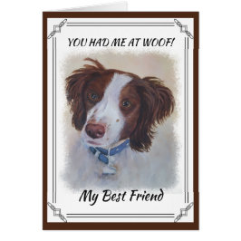 STATELLE AUBURN SETTER MIX