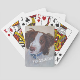 STATELLE AUBURN SETTER MIX SPIELKARTEN