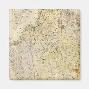 Staten Island Magnet