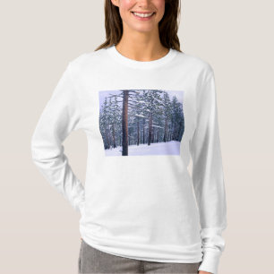 STATEPARK LAKE TAHOE, NEVADA. USA. Frischer Schnee T-Shirt