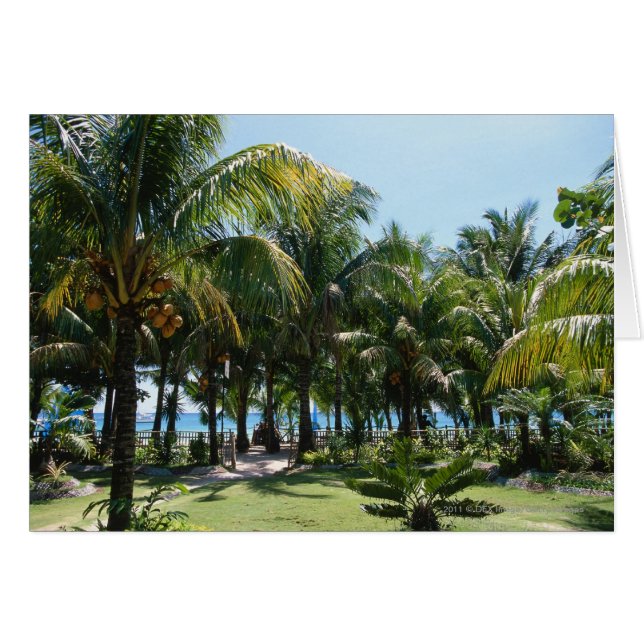 Station balnéaire (Devant horizontal)