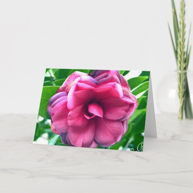 Stationäre Korrespondenzkarte von Camellia (Vorderseite)