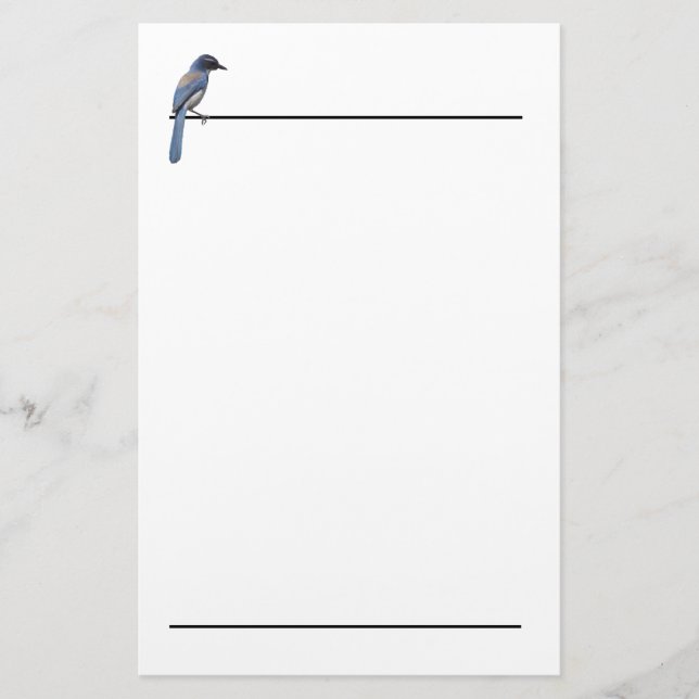 Stationery - Blue Jay Briefpapier (Vorderseite)