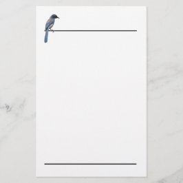 Stationery - Blue Jay Briefpapier