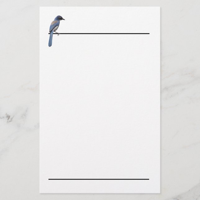 Stationery - Blue Jay Briefpapier (Vorderseite)