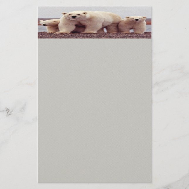 Stationery Briefpapier (Vorderseite)