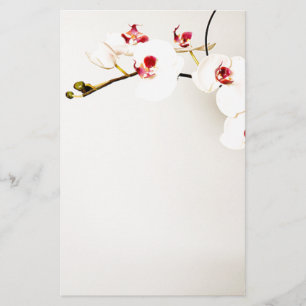 Stationery Briefpapier
