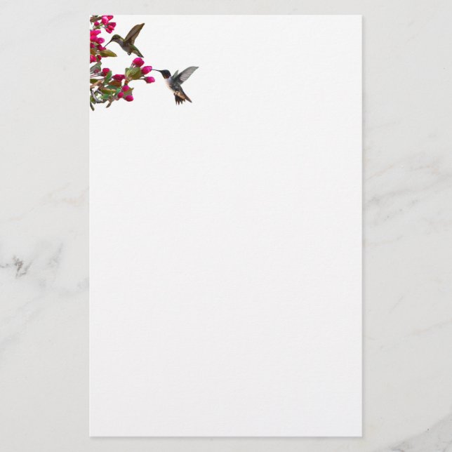 Stationery hummingbirds briefpapier (Vorderseite)