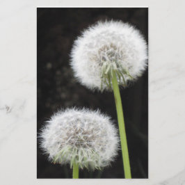 Stationery - Lüster Briefpapier