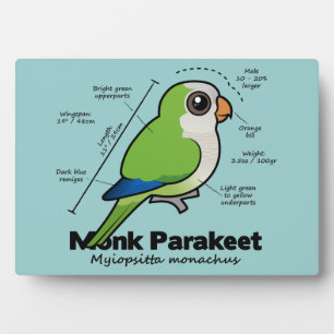 Statistik zum Mondparakeet Fotoplatte