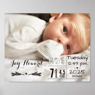Statistiken zur Babyg Geburt Andenkenfoto zur Gebu Poster