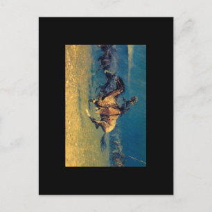 Stattdessen von Lightning_Art of America Postkarte
